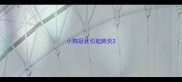 小狗冠状引起肺炎