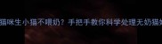 新手必看猫咪生小猫不喂奶手把手教你科学处理无奶猫妈的5大妙招