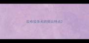 拉布拉多犬的突出特点