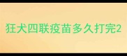 狂犬四联疫苗多久打完