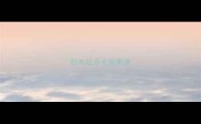 拉布拉多犬流鼻涕