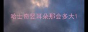 哈士奇竖耳朵那会多大