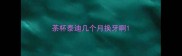 茶杯泰迪几个月换牙啊