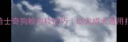 2月哈士奇狗粮泡软技巧幼犬成犬通用指南
