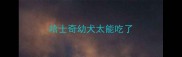 哈士奇幼犬太能吃了