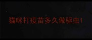 猫咪打疫苗多久做驱虫