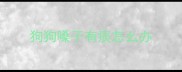 狗狗嗓子有痰怎么办
