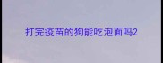 打完疫苗的狗能吃泡面吗