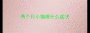 两个月小猫喂什么症状