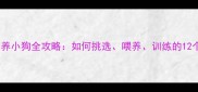 新手必看养小狗全攻略如何挑选喂养训练的12个关键步骤