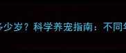 狗狗8岁相当于人类多少岁科学养宠指南不同年龄段的养护全攻略