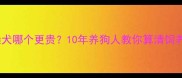 哈士奇和柴犬哪个更贵10年养狗人教你算清饲养成本清单
