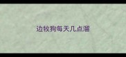 边牧狗每天几点溜