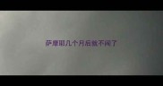 萨摩耶几个月后就不闹了