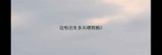 边牧出生多久喂狗粮