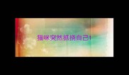猫咪突然抓挠自己