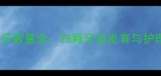 两个月大小狗乳牙数量全28颗牙齿发育与护理指南附图