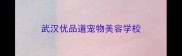 武汉优品道宠物美容学校