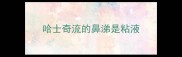 哈士奇流的鼻涕是粘液