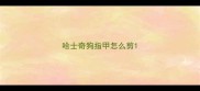 哈士奇狗指甲怎么剪