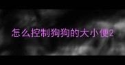怎么控制狗狗的大小便