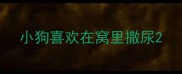 小狗喜欢在窝里撒尿