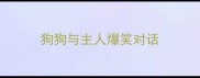 狗狗与主人爆笑对话