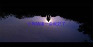 小狗抽搐一会就好了