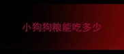 小狗狗粮能吃多少