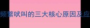哈士奇频繁吠叫的三大核心原因及应对策略