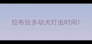 拉布拉多幼犬打虫时间
