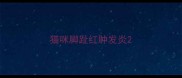 猫咪脚趾红肿发炎