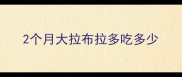 2个月大拉布拉多吃多少
