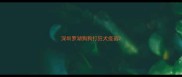 深圳罗湖狗狗打狂犬疫苗