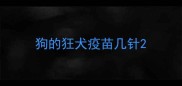 狗的狂犬疫苗几针