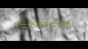 哈士奇和英牛掉毛