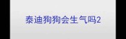 泰迪狗狗会生气吗