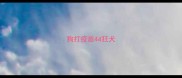 狗打疫苗44狂犬