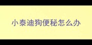 小泰迪狗便秘怎么办