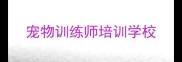 宠物训练师培训学校