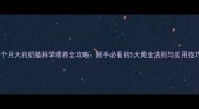 一个月大的奶猫科学喂养全攻略新手必看的5大黄金法则与实用技巧