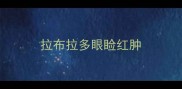拉布拉多眼睑红肿
