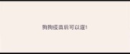 狗狗疫苗后可以遛