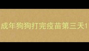 成年狗狗打完疫苗第三天