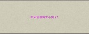 冬天流浪狗生小狗了