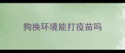 狗换环境能打疫苗吗