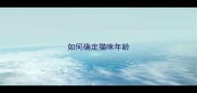 如何确定猫咪年龄