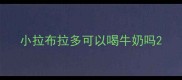 小拉布拉多可以喝牛奶吗