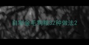 自制金毛狗粮32种做法