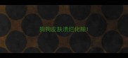 狗狗皮肤溃烂化脓